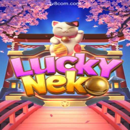 Discover the Excitement of LuckyNeko and TV8 Game – Apostas Rápidas, Pix Instantâneo e Lucros Reais